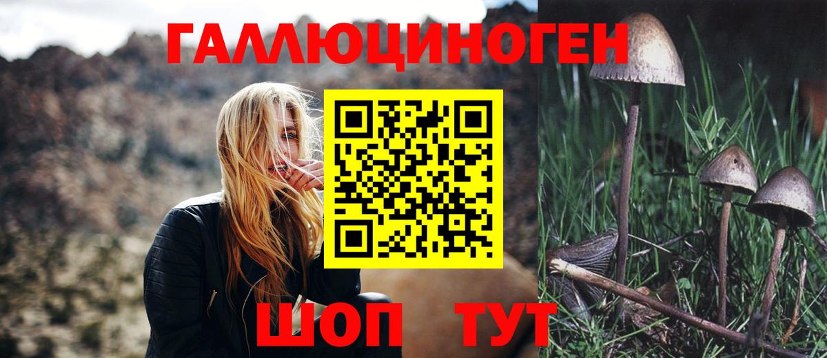 Псилоцибиновые грибы Psilocybine cubensis Белореченск